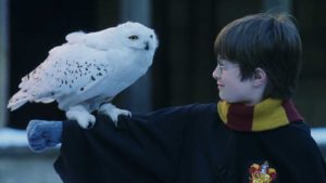 Top 8 Harry Potter YouTubers