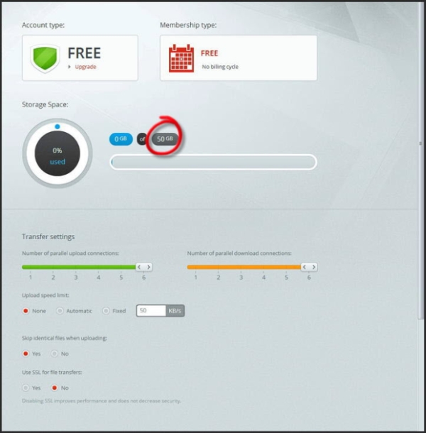 Mega - nowy projekt Kim Dotcoma Mega - nowy projekt Kim Dotcoma