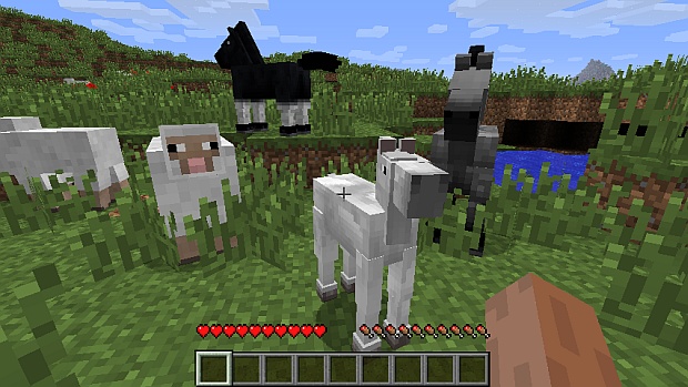 Was Fressen Pferde In Minecraft