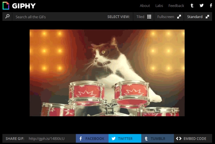 Obraz artykułu: GIFy na Facebooku? Yes we…