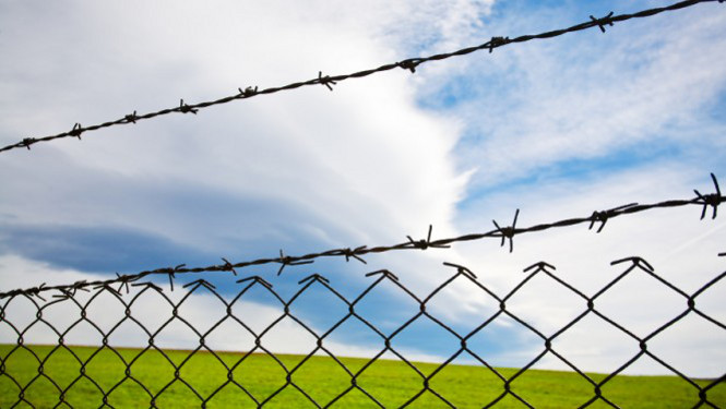 Obraz artykułu: Który system jest najbezp…