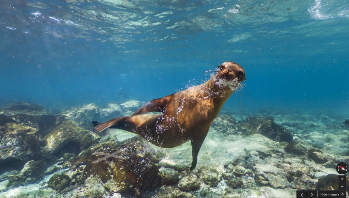 Obraz artykułu: Google Street View – od W…