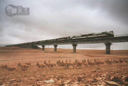 Qinghai-Tiber Railway