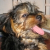 Ricardo81262