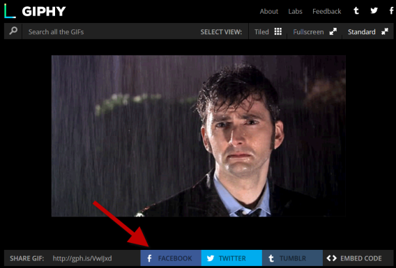 Cómo poner un GIF en Facebook