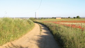 Viajar, ir al trabajo… las apps para moverse por España