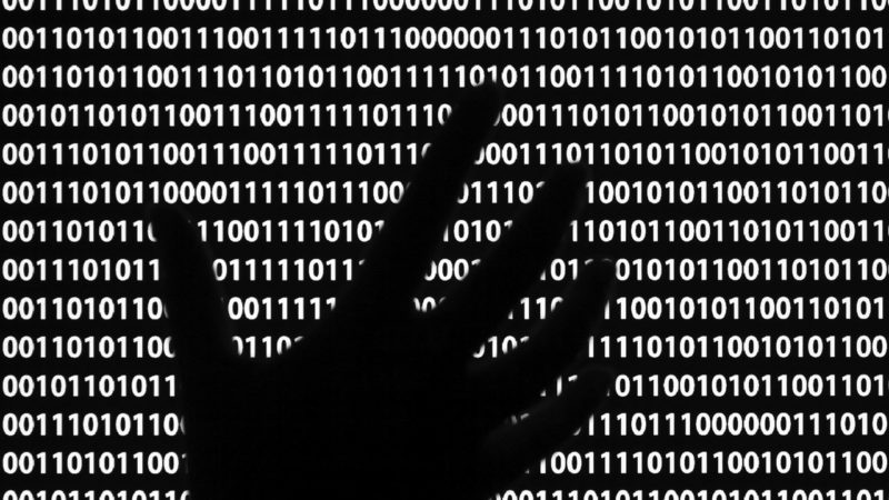 Este tipo de virus ha aumentado su actividad en un 3500% en solo 3 meses
