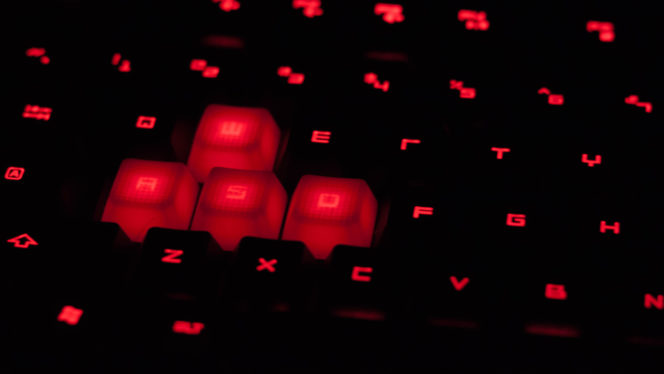 gamer-1
