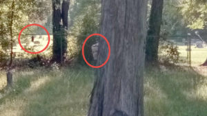 Aparecen dos figuras fantasmales en Google Maps