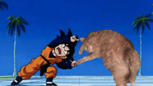 Este gato obeso vive mil aventuras gracias a Photoshop