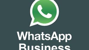 WhatsApp Business llega a la App Store en algunos países, México es el primero