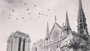 Twitter se convierte en un centro de apoyo para París tras el desastre de Notre Dame