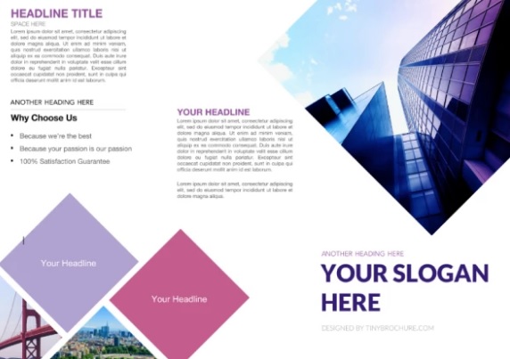 Business Tri Fold Brochure