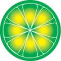 limewirelogo.jpg