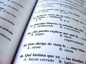 Online resources and software to learn languages