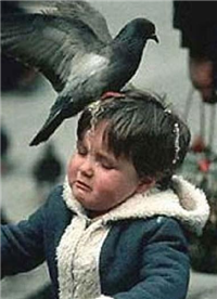Pigeon poos on boy