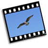 Free Video to JPG Converter