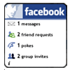 Facebook Dashboard Widget