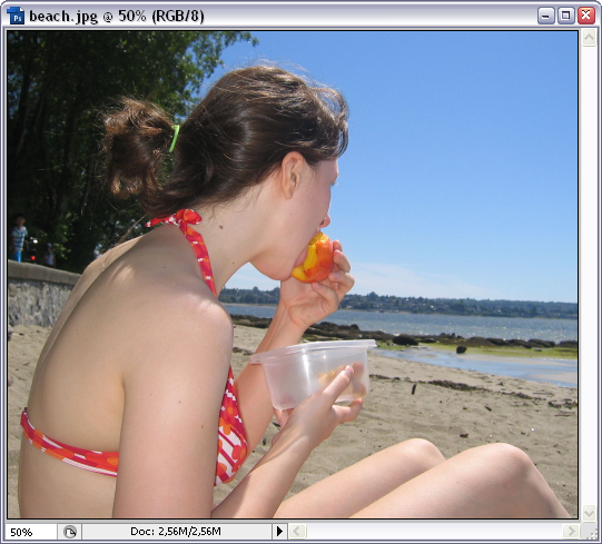 Get a tan in Photoshop