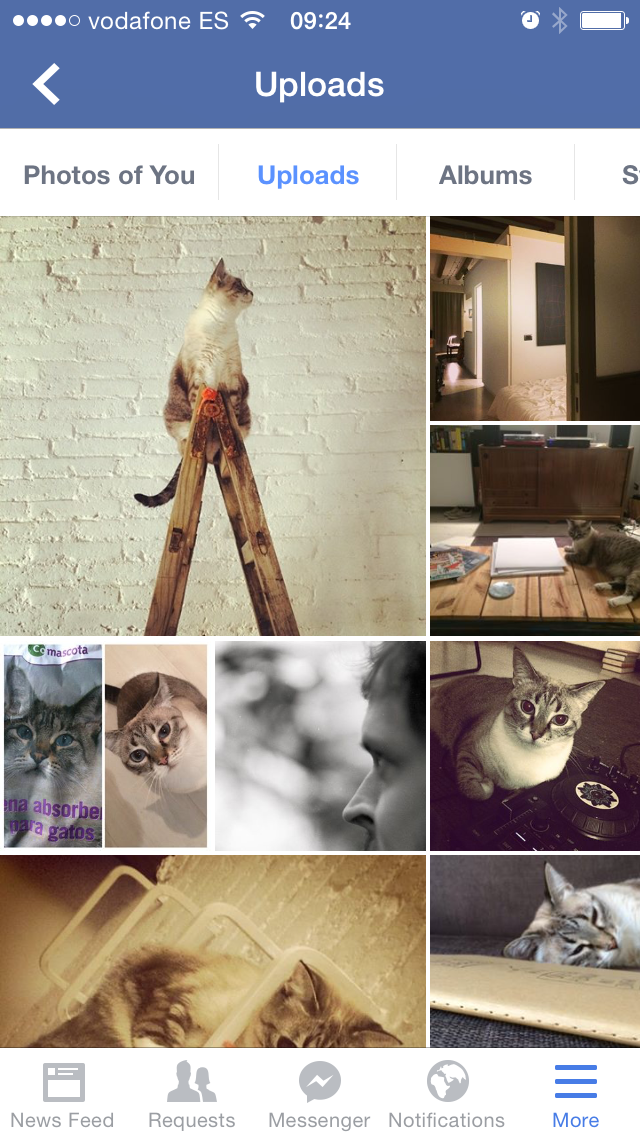 Facebook photos redesigned to focus on your popular pictures - Softonic
