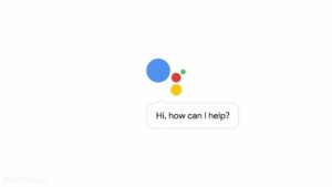 Assistant