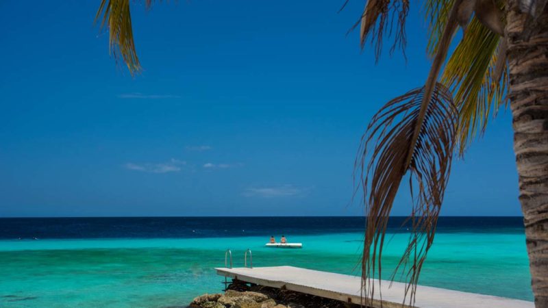 5 apps that will make your Vacation 10X Better