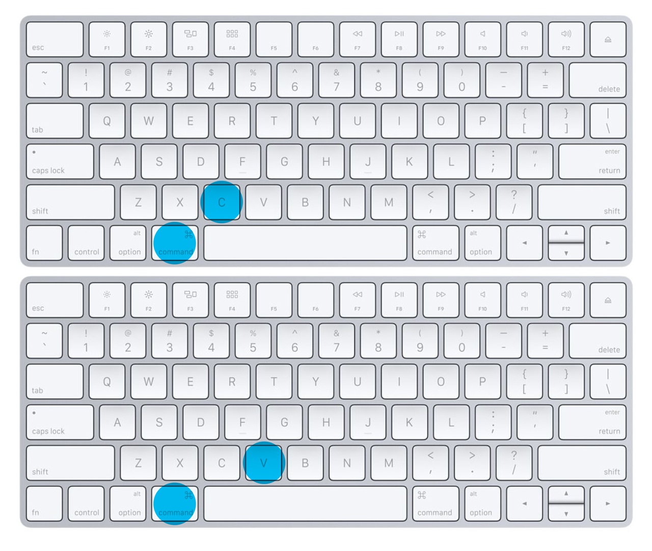 mac command c not working