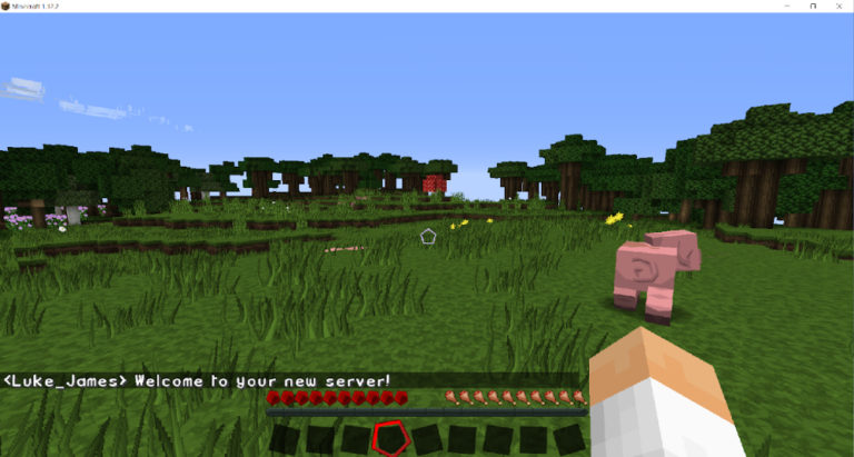 Comment Voir L Inventaire D Un Joueur Minecraft Comment démarrer votre propre serveur Minecraft - Resoudre les