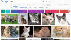 How to get the "view image" button back on Google Image Search