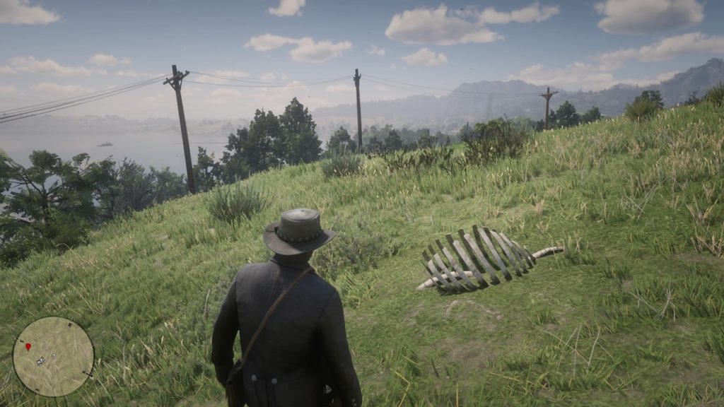 RDR2: Maps to find all 30 dinosaur bones