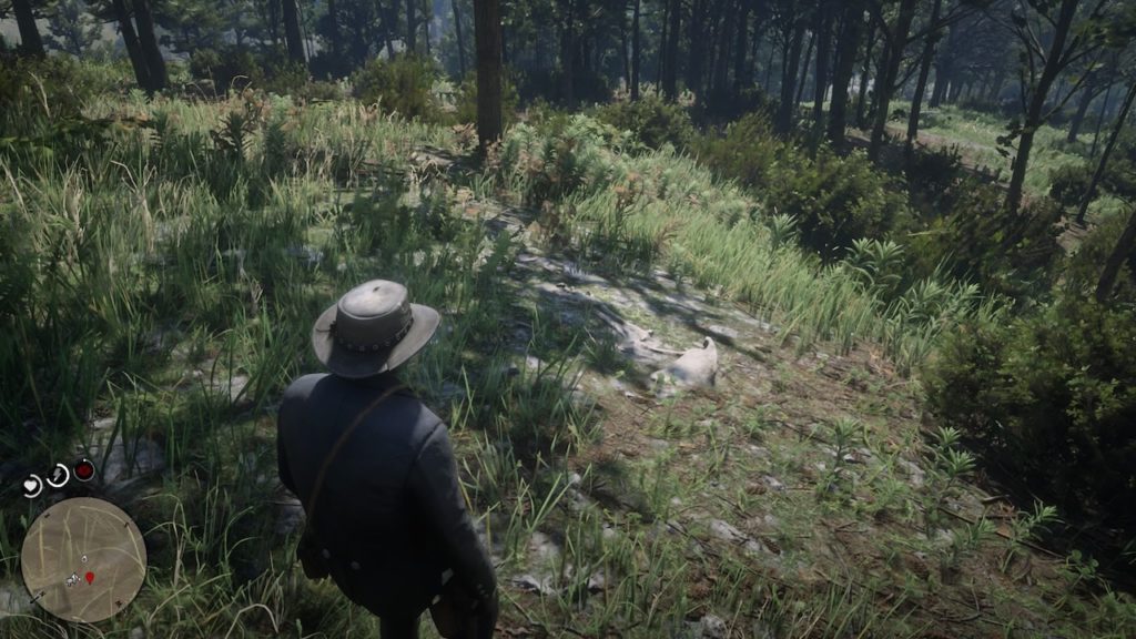 red dead 2 new hanover cabin bone