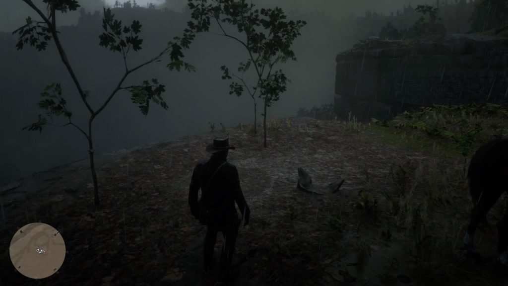 red dead 2 roanoke valley cliff bone