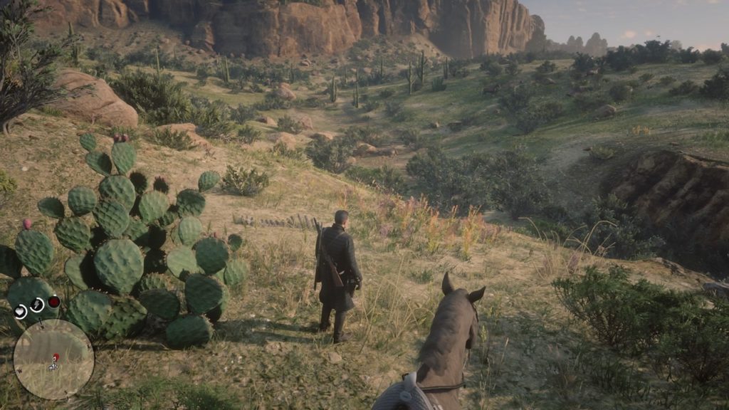 red dead 2 san luis river bone