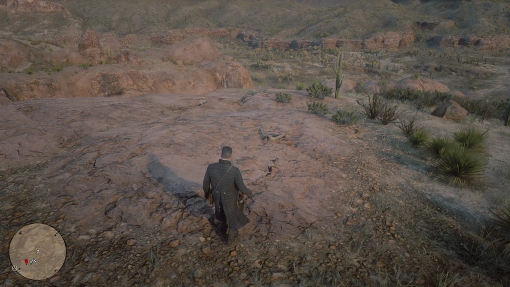 red dead 2 tumbleweed north bone map