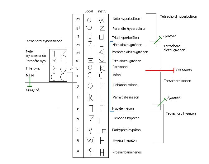 An overview of the Systema ametabolon