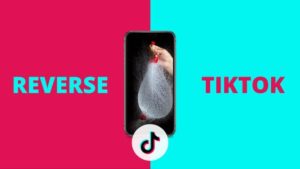 How to reverse a TikTok