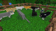 How to Tame a Cat In Minecraft in 3 Easy Steps