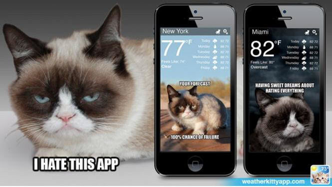 Immagine dell’articolo: Non dire gatto se non ce …