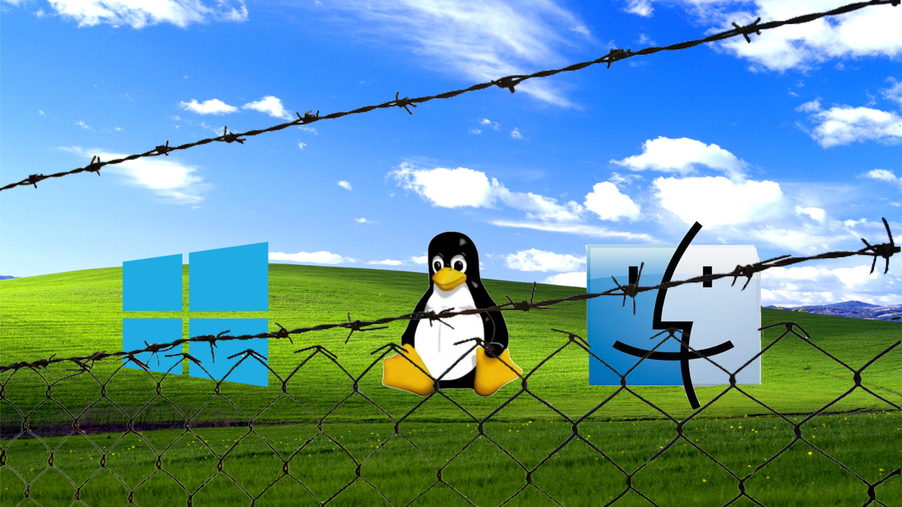 Immagine dell’articolo: Qual è il sistema operati…