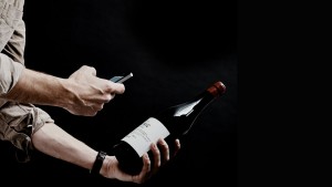 VIVINO SCARICA