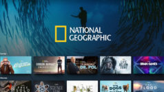 I 10 migliori documentari National Geographic disponibili su Disney+