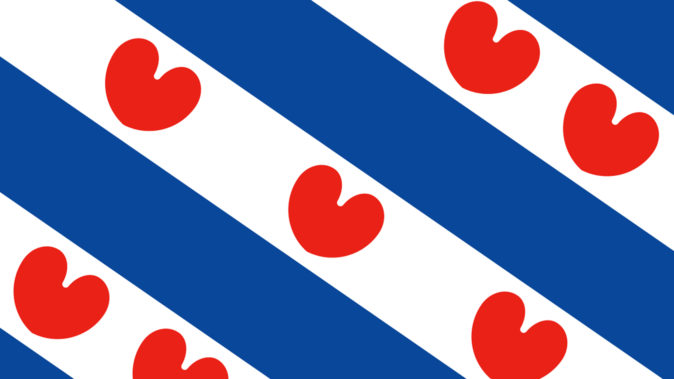 Artikel afbeelding: Friesland heeft eigen web…