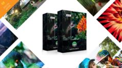 Melhoramento de fotos sem esforços com PhotoLemur v.2.2 Spectre