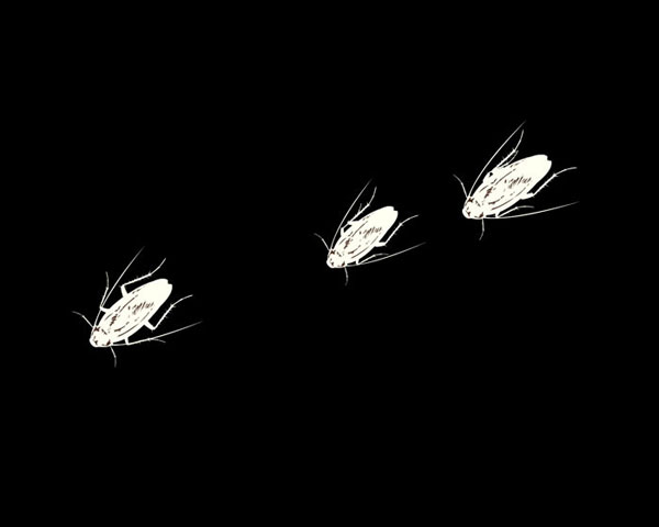 Desktop-Spaß: Die schrägsten Bildschirmschoner - Softonic