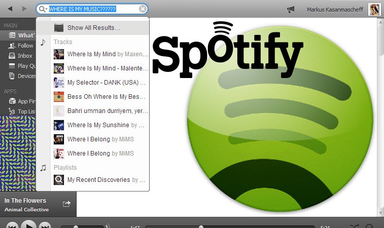 Spotify-Suche: Musik mit Filtern schneller finden