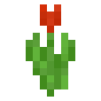 Minecraft 1.7: Rote Tulpe