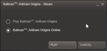 Batman Arkham Origins Multiplayer: Online? Offline?