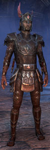 Elder Scrolls Online - Nightblade