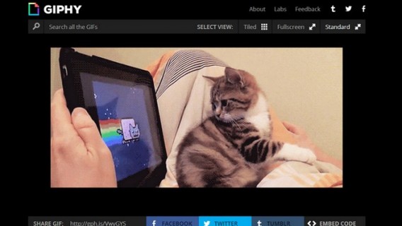Comment publier un GIF animé dans Facebook?
