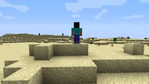 Comment jouer en ligne à Minecraft ou Borderlands entre amis avec Hamachi